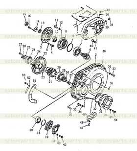 PLUG, OIL LEVEL